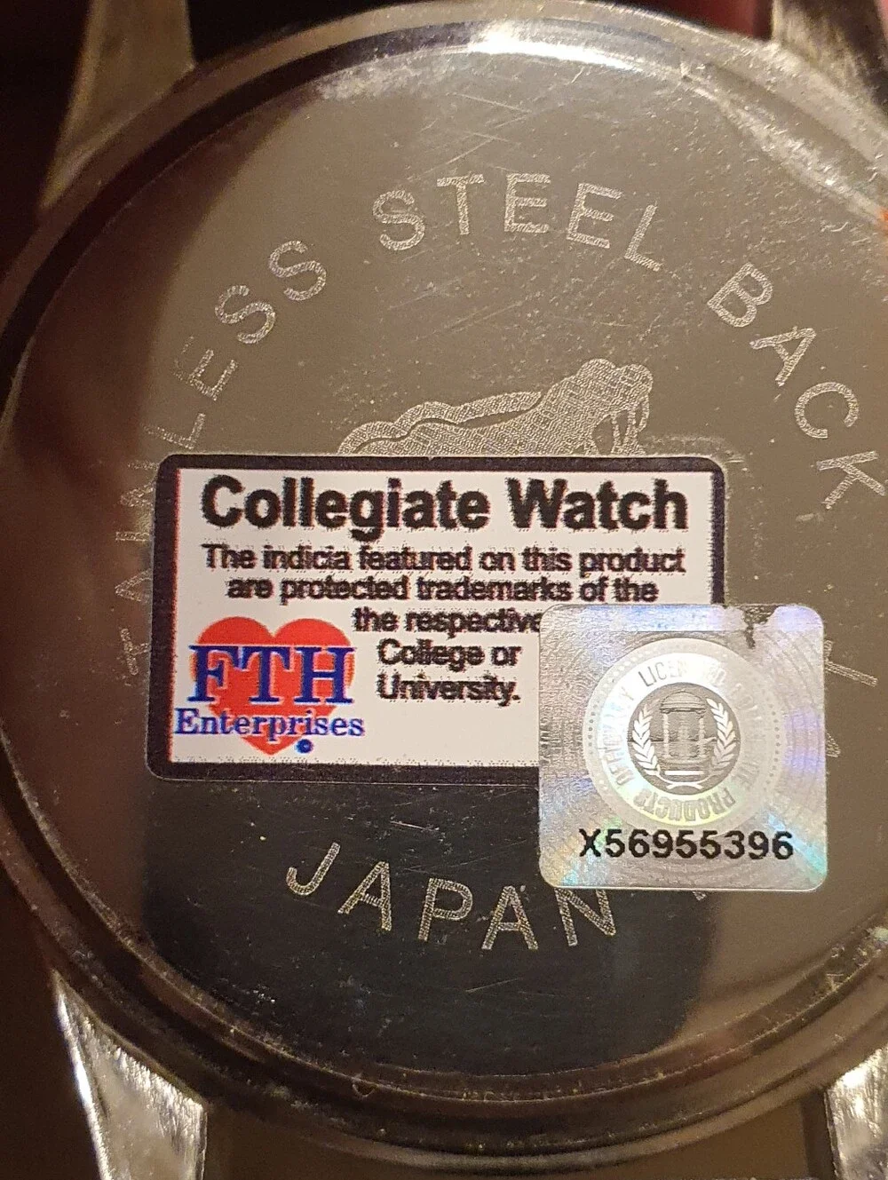 FTH  Enterprises Florida Gators Silver/Blue Silicone Logo Men's Watch